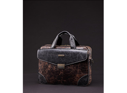 MODEL:(型号LAA-A050），RMB￥24300..USD$3522